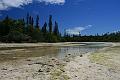Oro-ile des pins (4)